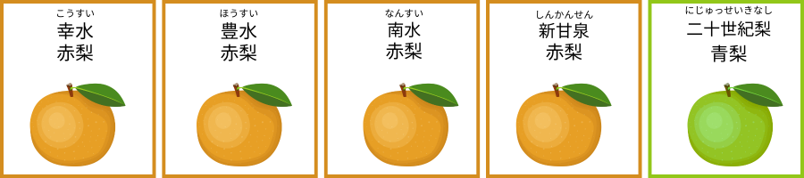 主な品種バナー