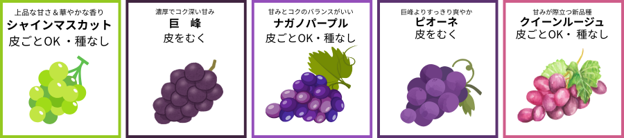 ぶどう品種バナー