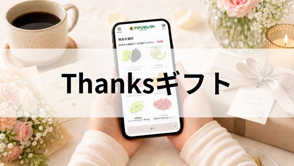 日頃の感謝やカジュアルな贈り物