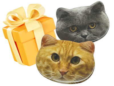 季節のフルーツ＋猫ちゃんフェイス缶バッジ