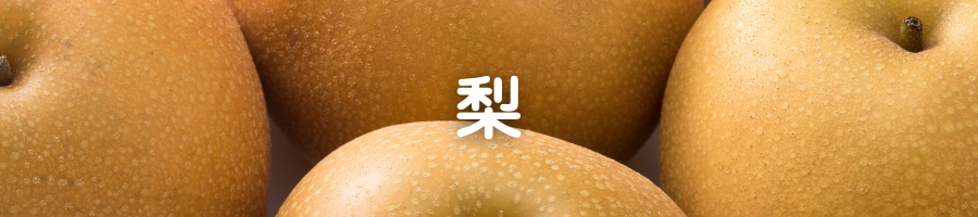 フルーツで選ぶ りんご