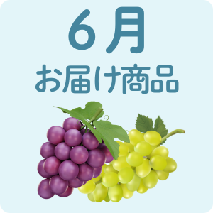 お中元6月お届け可能な商品