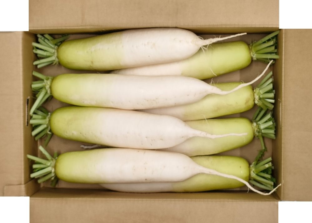 100000_c大根ケース販売_正面画像