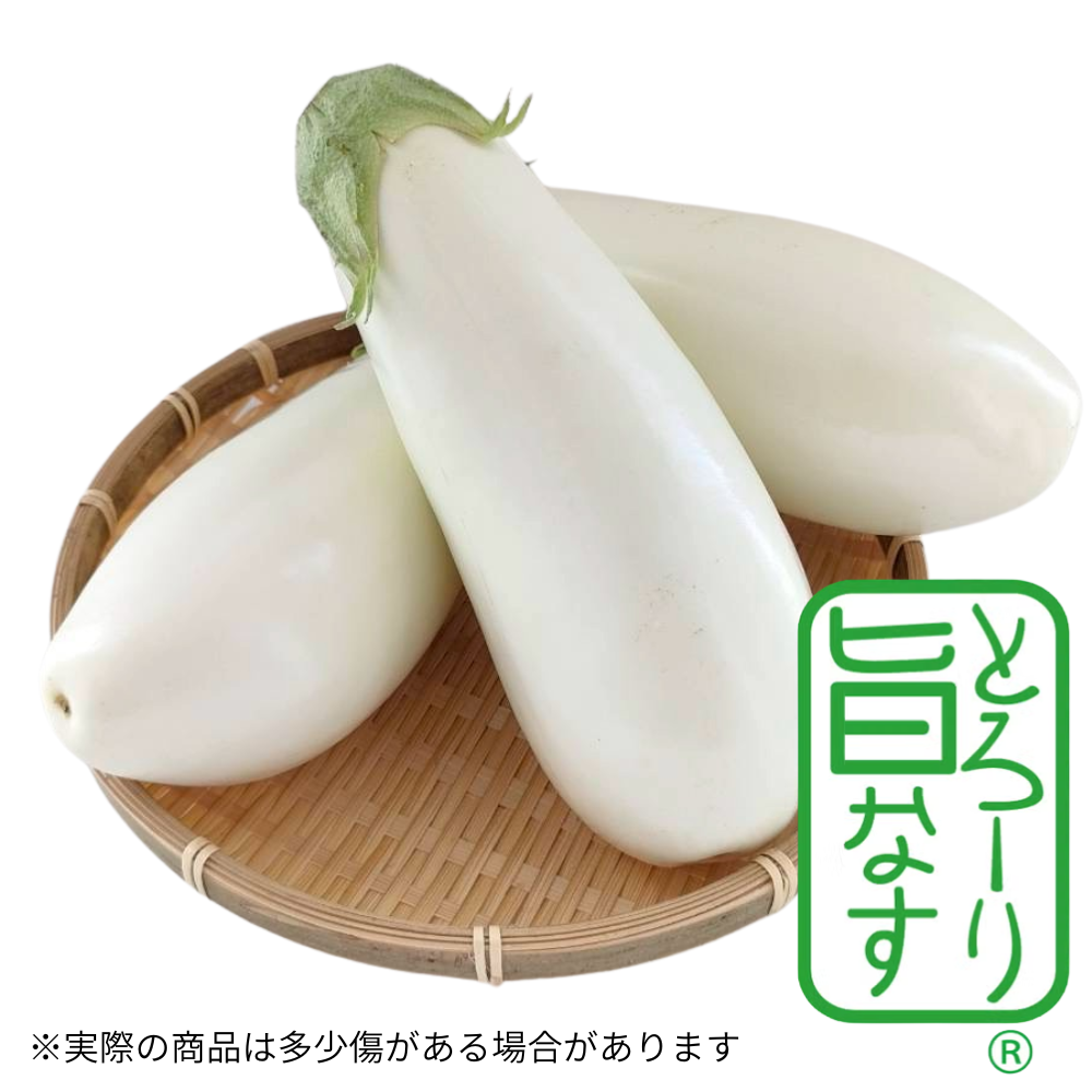 とろ～り旨なす 10本 | アグリセレクト 旬の果物・野菜ギフトをプロが