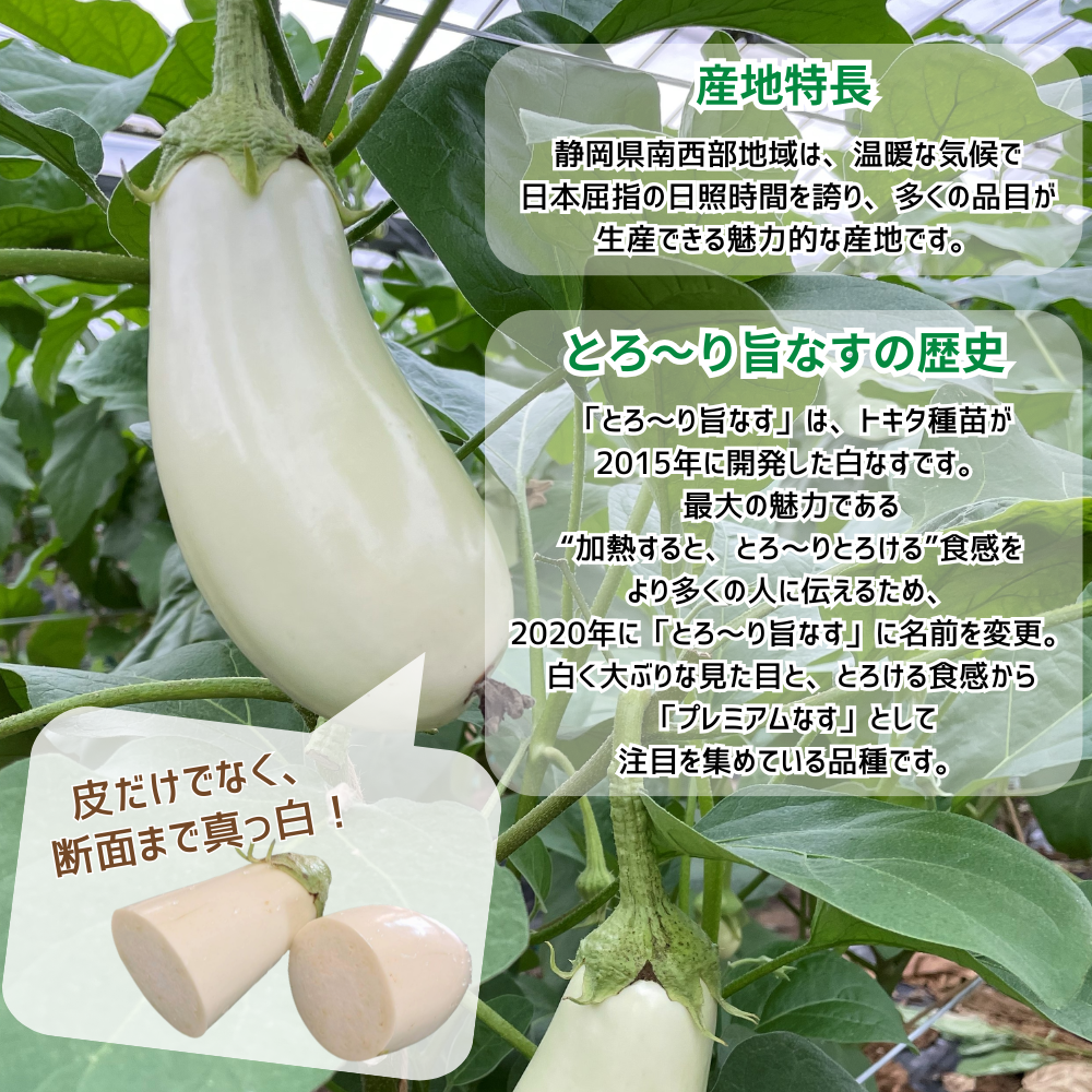とろ～り旨なす 10本 | アグリセレクト 旬の果物・野菜ギフトをプロが