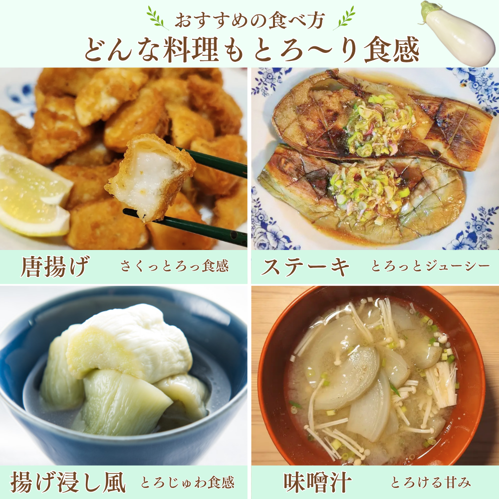 とろ～り旨なす 5本 | アグリセレクト 旬の果物・野菜ギフトをプロが
