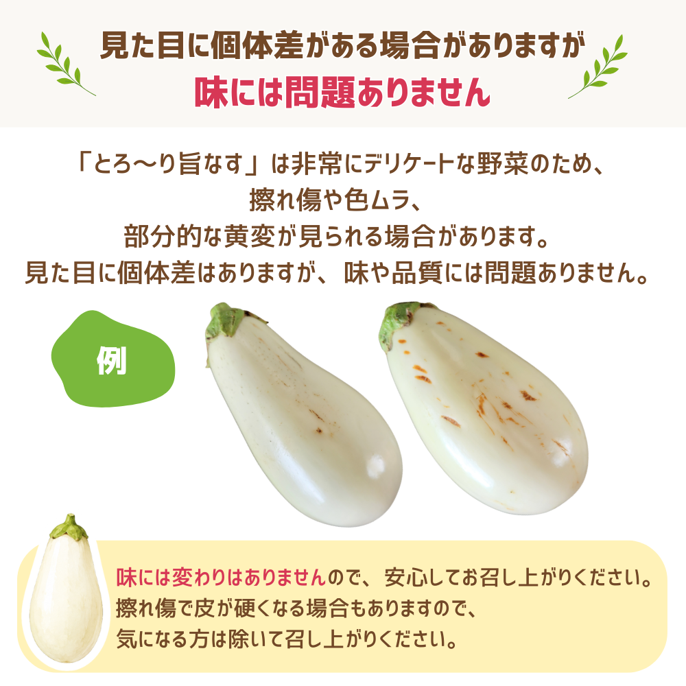 とろ～り旨なす 10本 | アグリセレクト 旬の果物・野菜ギフトをプロが