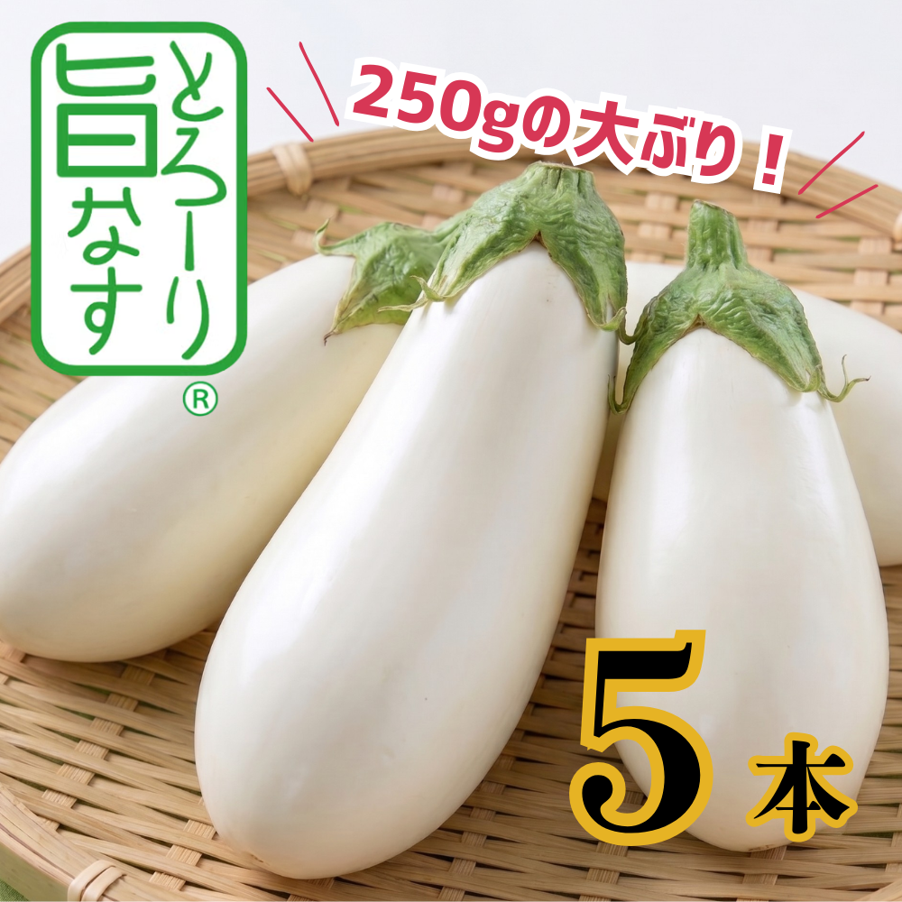 とろ～り旨なす 5本_120400-1_c_商品画像1