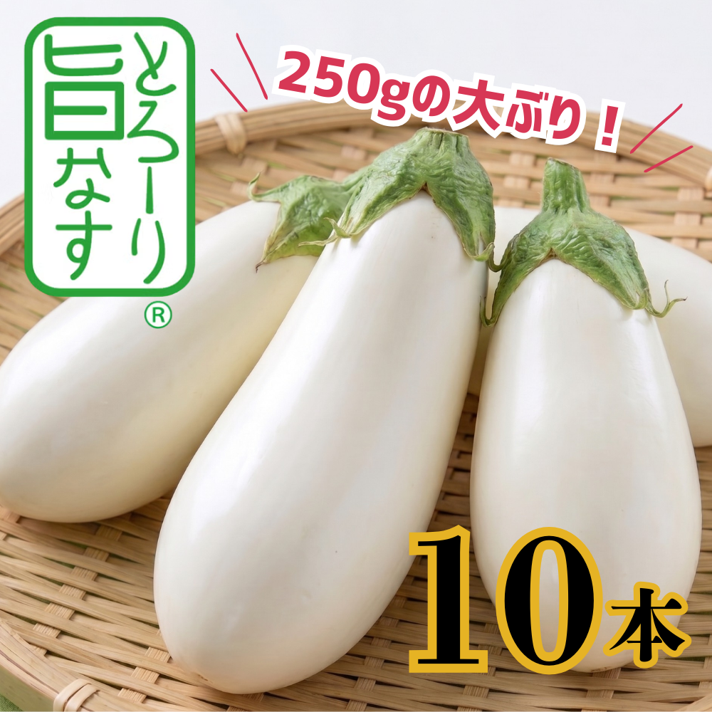なすページ とろ～り旨なす 10本 | アグリセレクト 旬の果物・野菜ギフトをプロが