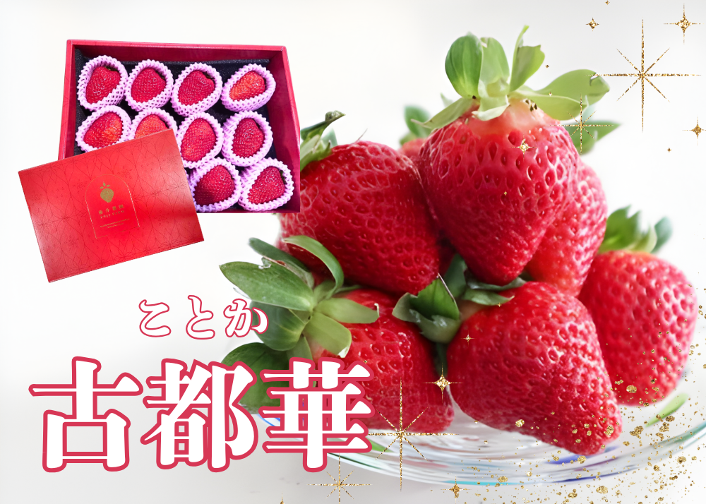 いちご | AGRISELECT（アグリセレクト）