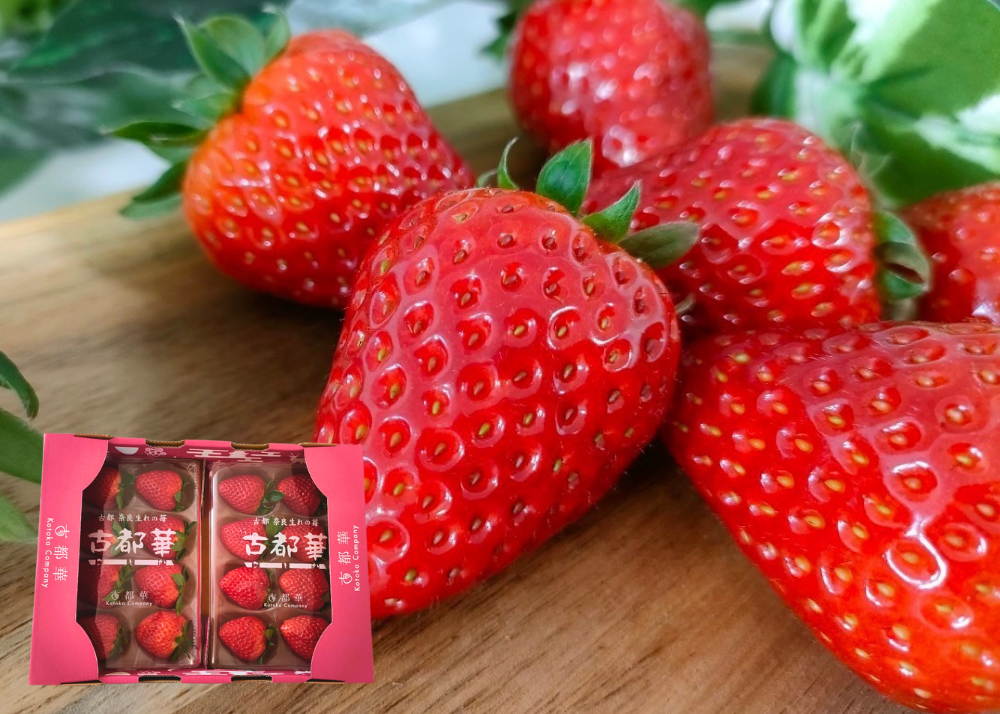 奈良県産ブランドいちご「古都華」 約250g×2P_552740-2_c_商品画像