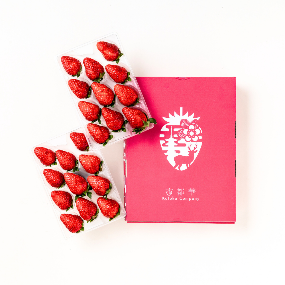奈良県産ブランドいちご「古都華」 約250g×2P_552740-2_c_商品画像