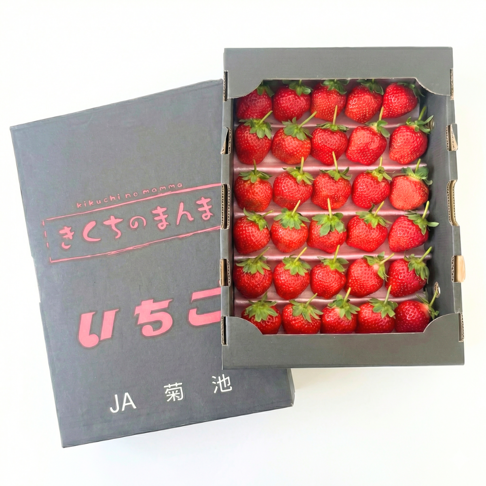 【匿名配送・新品】いちご 1日2箱限定出荷／糖蜜使用のこだわりいちご ひのしずく｜AGRISELECT