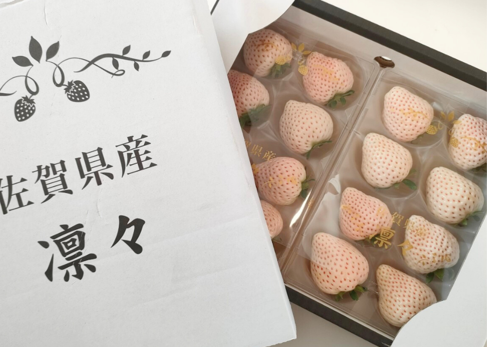 先着10箱限定】天使のいちご 約240g×2パック｜AGRISELECT（アグリ