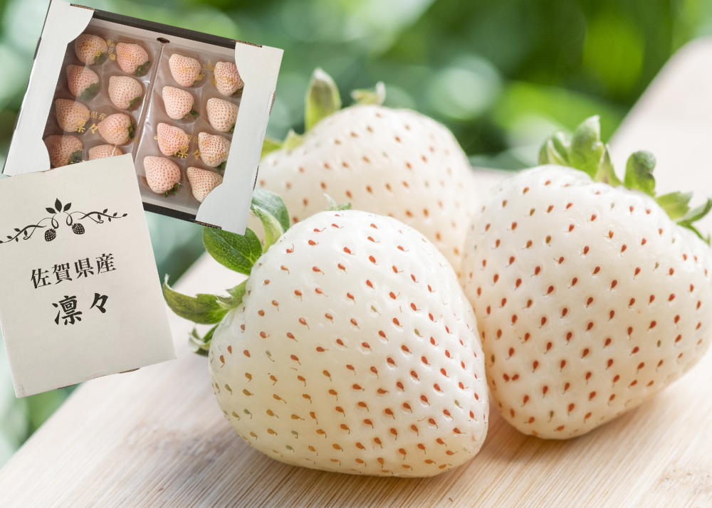 天使のいちご 約240g×2パック｜AGRISELECT（アグリセレクト）