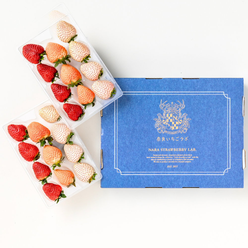 三色いちご（古都華・淡雪・パールホワイト）2パック