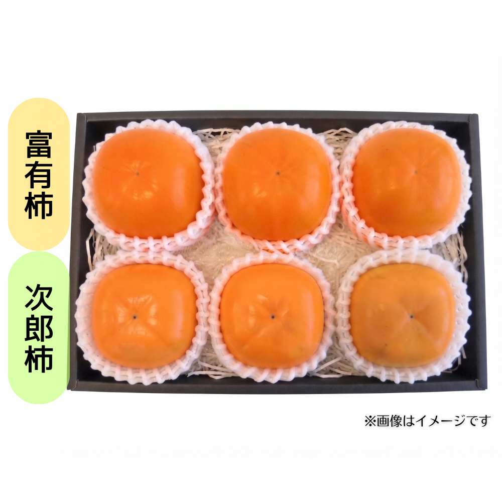 ＜食べ比べ＞甘柿2種食べ比べ（富有柿・次郎柿 ）6玉_552820-2_c_001