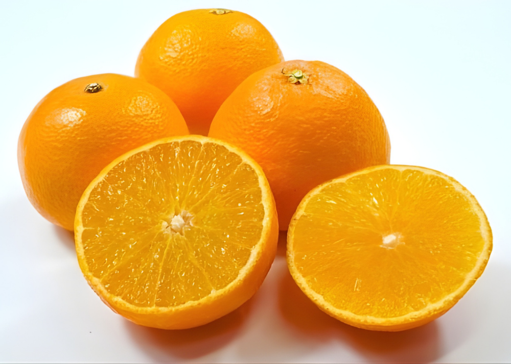 富裕柿_553690-2_c_商品画像