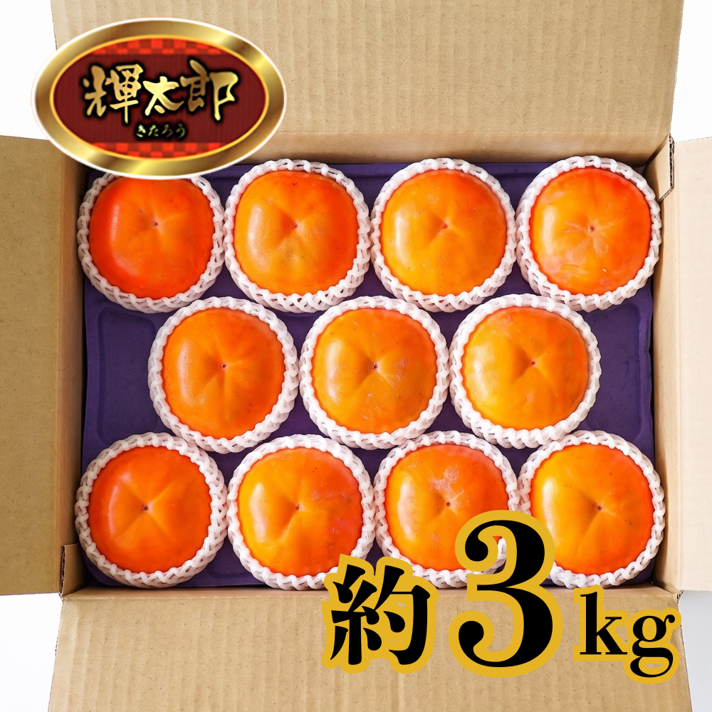輝太郎（きたろう）柿 約3kg_553690-6_c_001