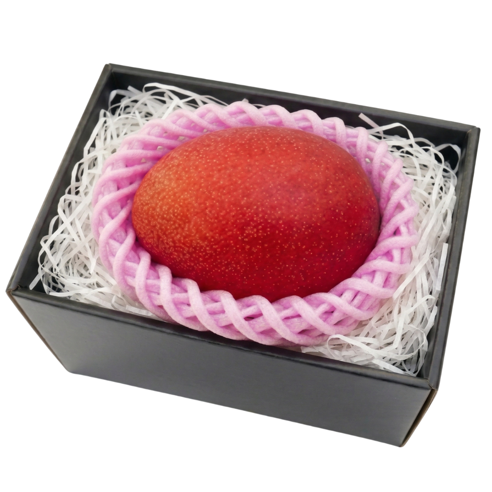 【母の日】みやざき完熟マンゴー1玉