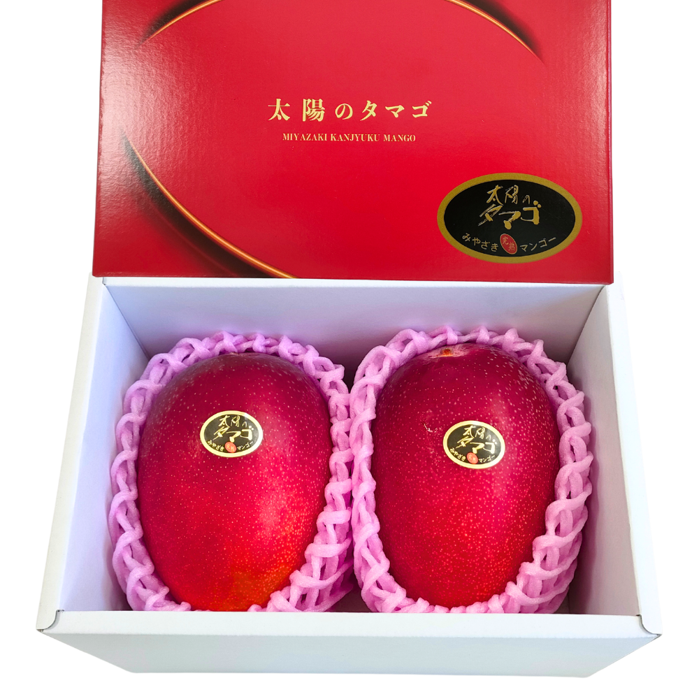 宮崎県産マンゴー太陽のタマゴ 4L2玉_553780-8_c_商品画像1