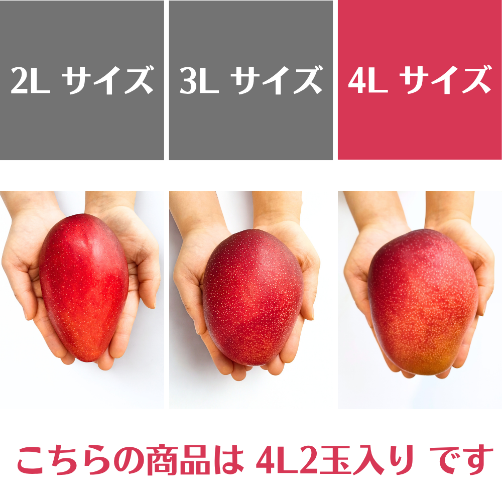2Lサイズをたっぷり3玉。シェアにも！