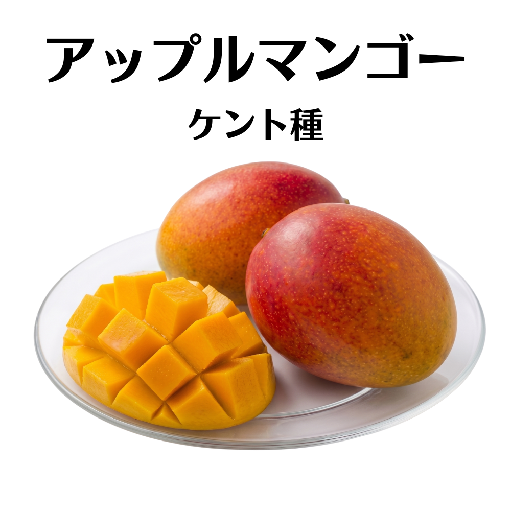 赤ケント種