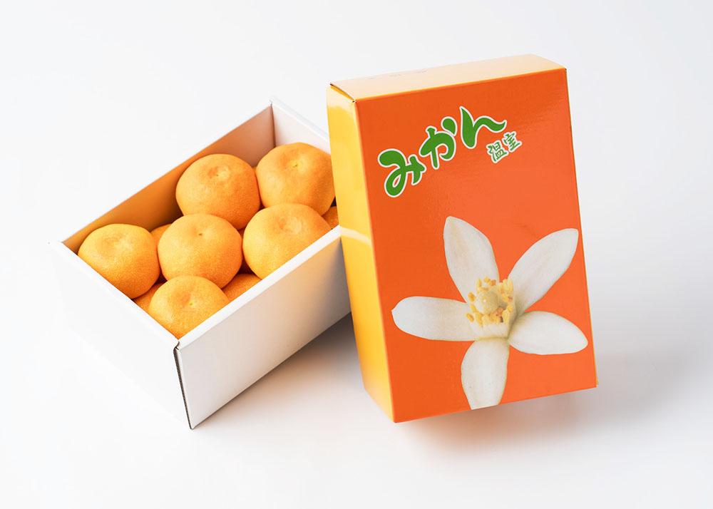 半額満載！スーパーSALE グランドセール！ 和歌山県産ハウスみかん 約1kg｜AGRISELECT（アグリセレクト） 果物