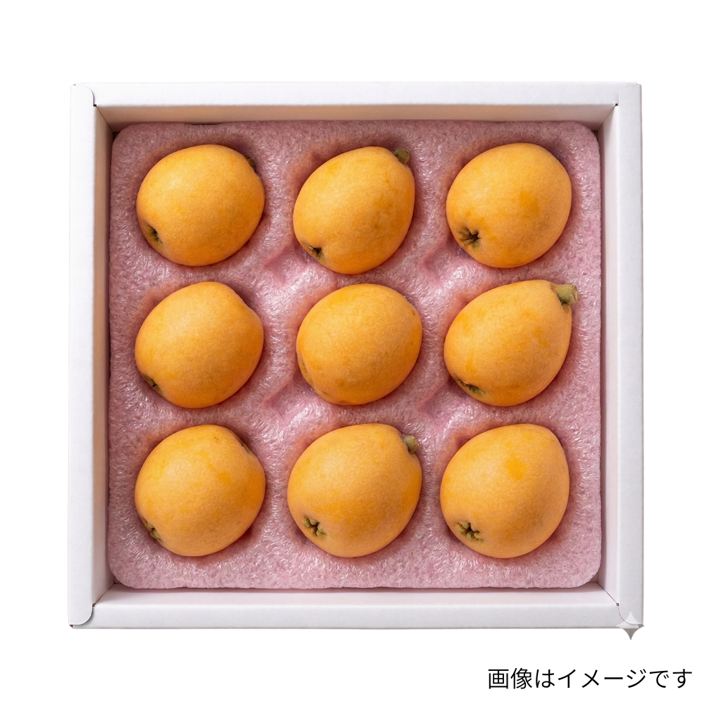 びわ化粧箱 約500g（9～12玉）