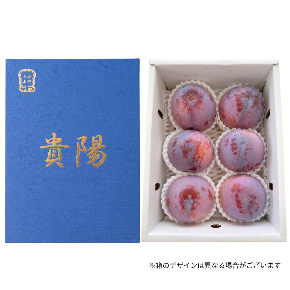 新鮮 多数 すもも 6キロ 貴陽（きよう）プラム 6~10玉 | アグリセレクト 旬の果物・野菜ギフト