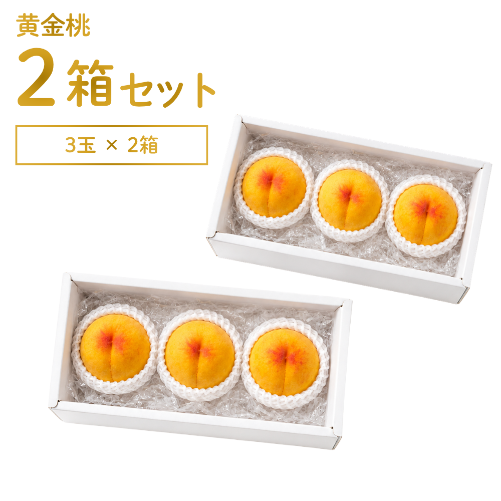 大玉 山梨県産黄金桃3kg✖️2箱 黄金桃 3玉×2箱 | アグリセレクト 旬の果物・野菜ギフトをプロが厳選し