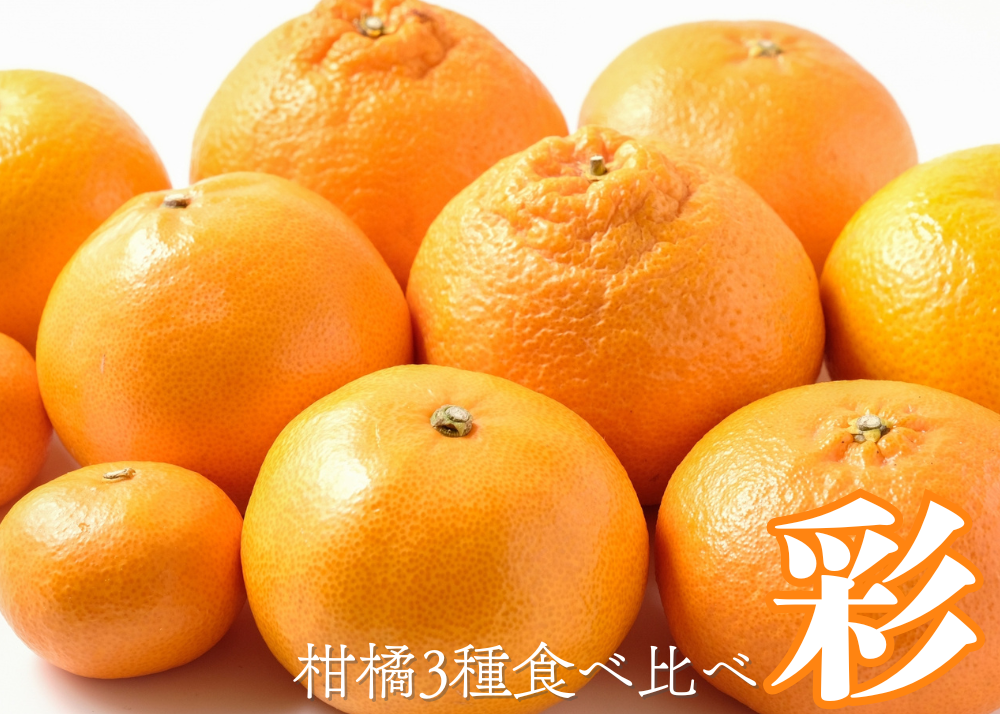 みかん・柑橘類 | AGRISELECT（アグリセレクト）