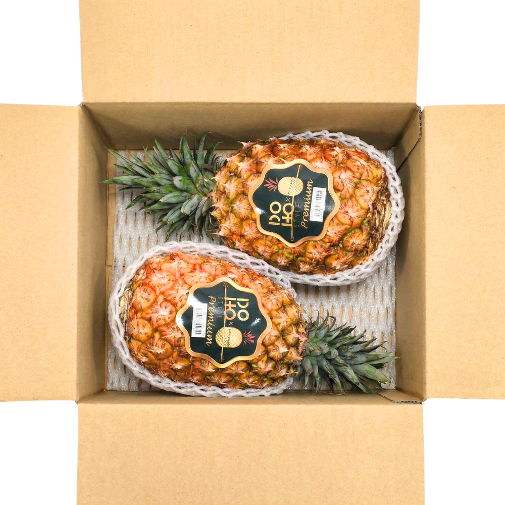 DOHO STYLE 金鑚パイン 2玉