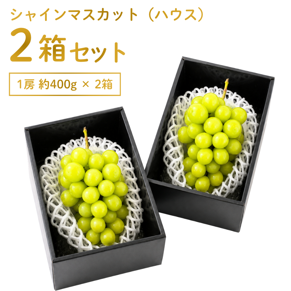 シャインマスカット（ハウス） 1房 約400g×2箱 | アグリセレクト 旬の