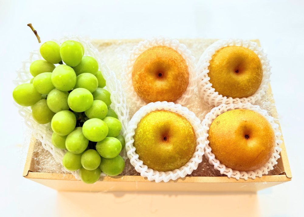 シャインマスカット・梨　詰め合わせ_554670-1_c_商品画像