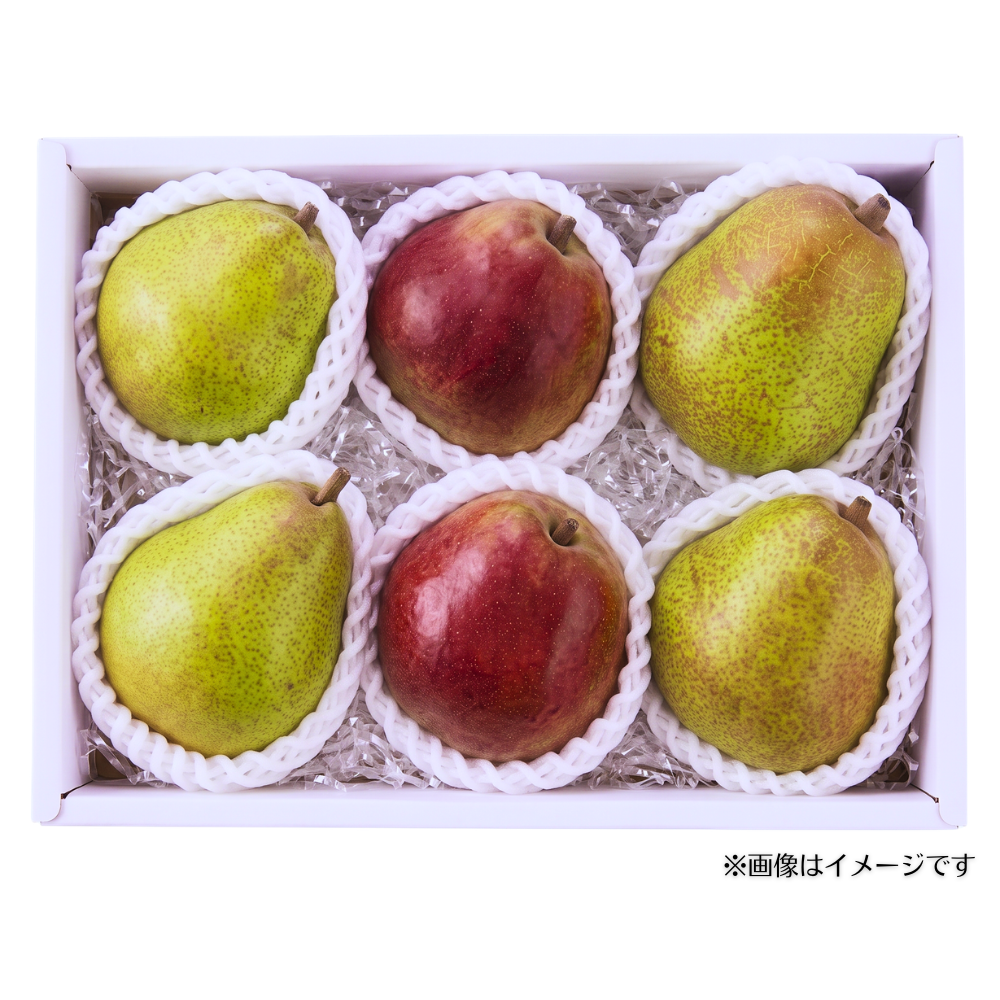 ＜食べ比べ＞旬の洋梨3種食べ比べ 6玉_554690-5_c_001