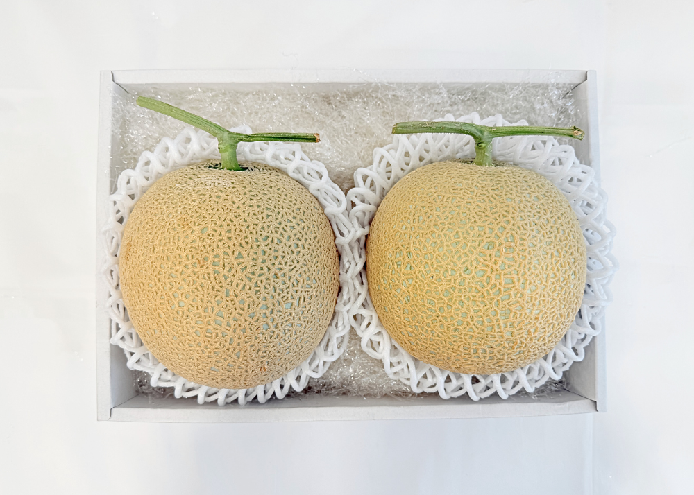 10クラウンアールスメロン[白等級]1玉入_554710-2_c_商品画像