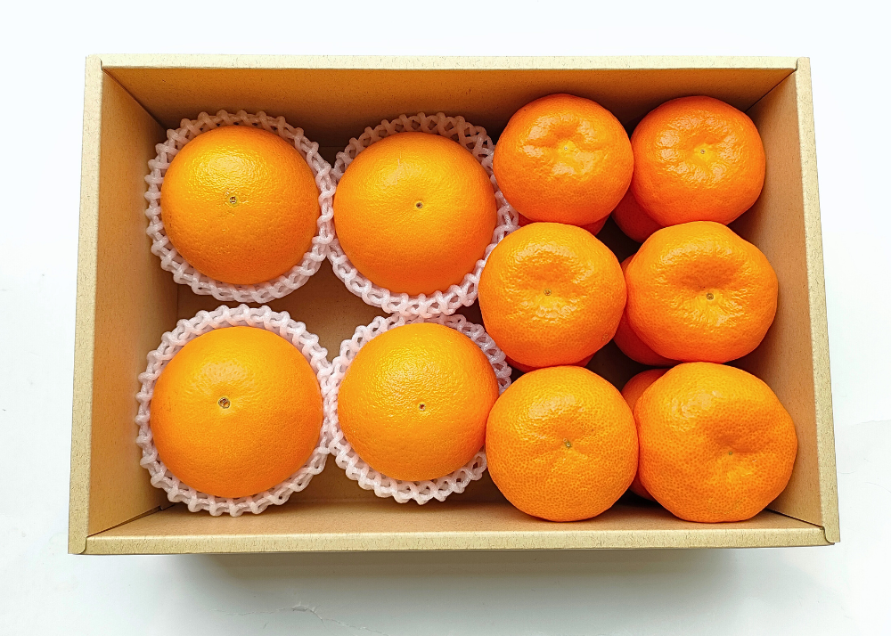 紅まどんな・はれひめ　詰め合わせ_552810_c_商品画像