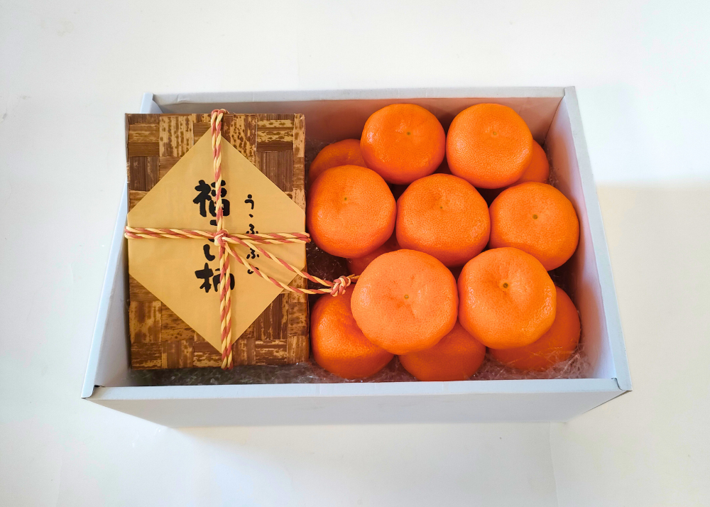 有田みかん・あんぽ柿_554760-15_c_商品画像