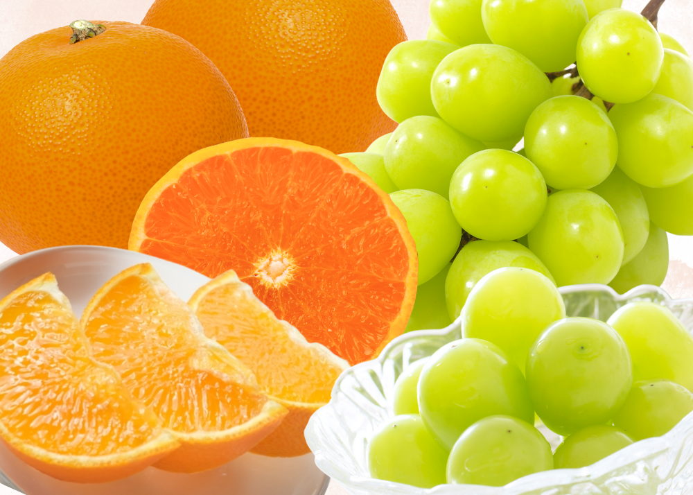 シャインマスカット・紅まどんな 詰め合わせ｜AGRISELECT（アグリ