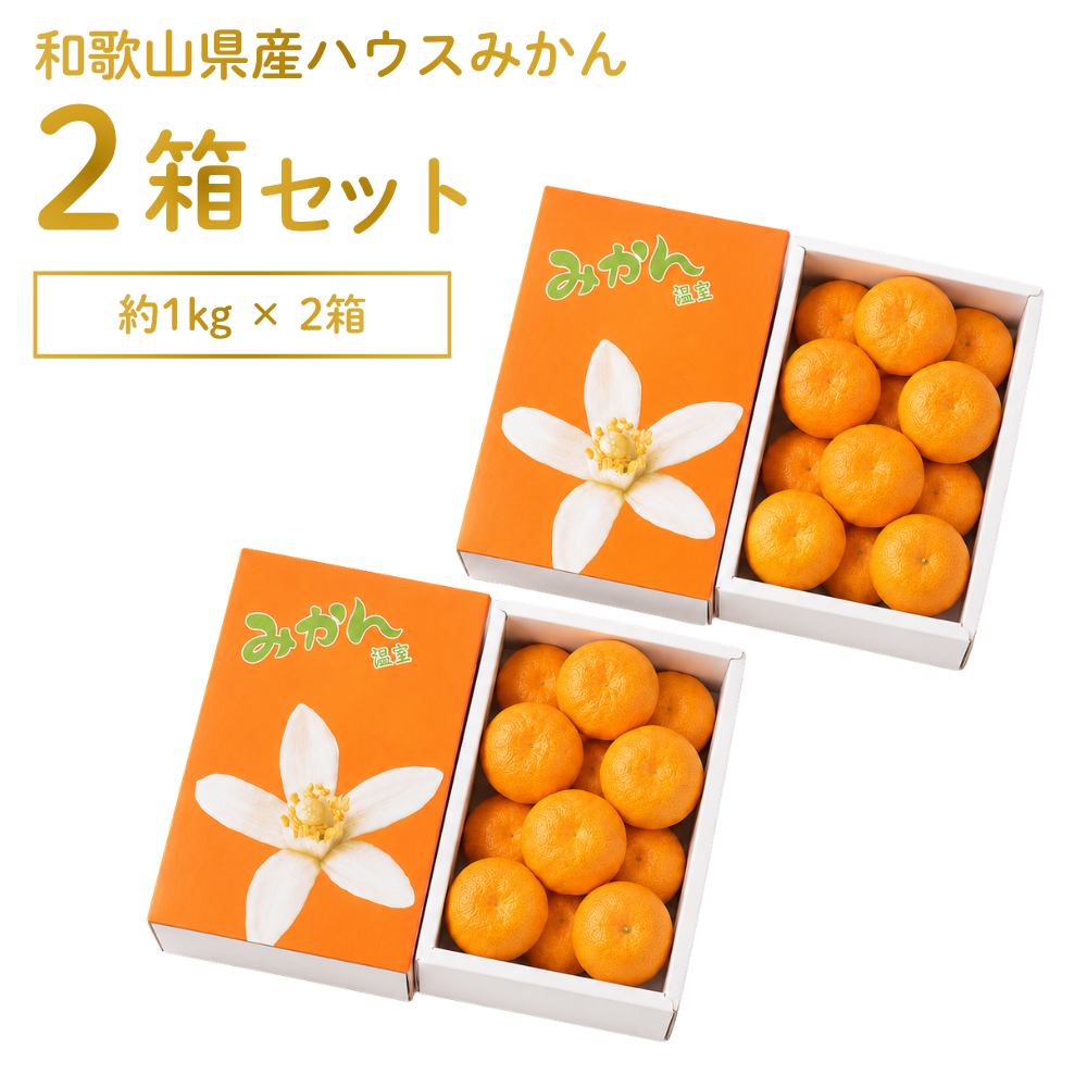 和歌山県産ハウスみかん 約1kg×2箱 | アグリセレクト 旬の果物・野菜