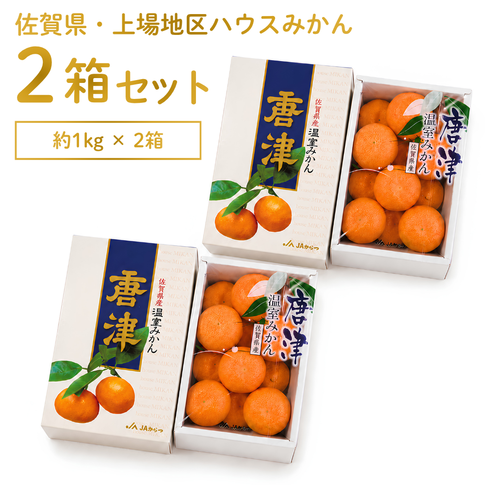 みかん・柑橘類 | AGRISELECT（アグリセレクト）