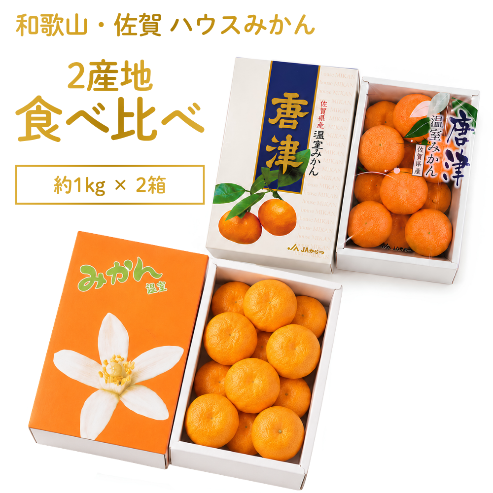 みかん・柑橘類 | AGRISELECT（アグリセレクト）