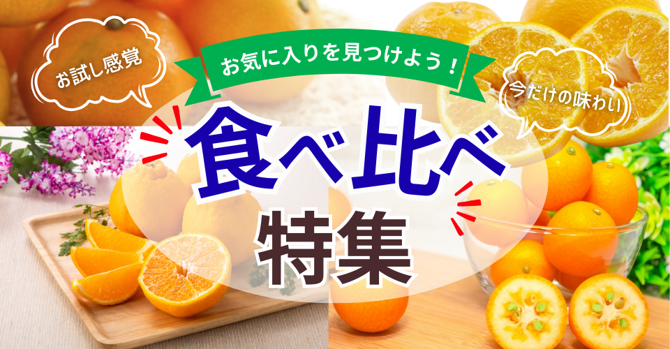 柑橘食べ比べ特集