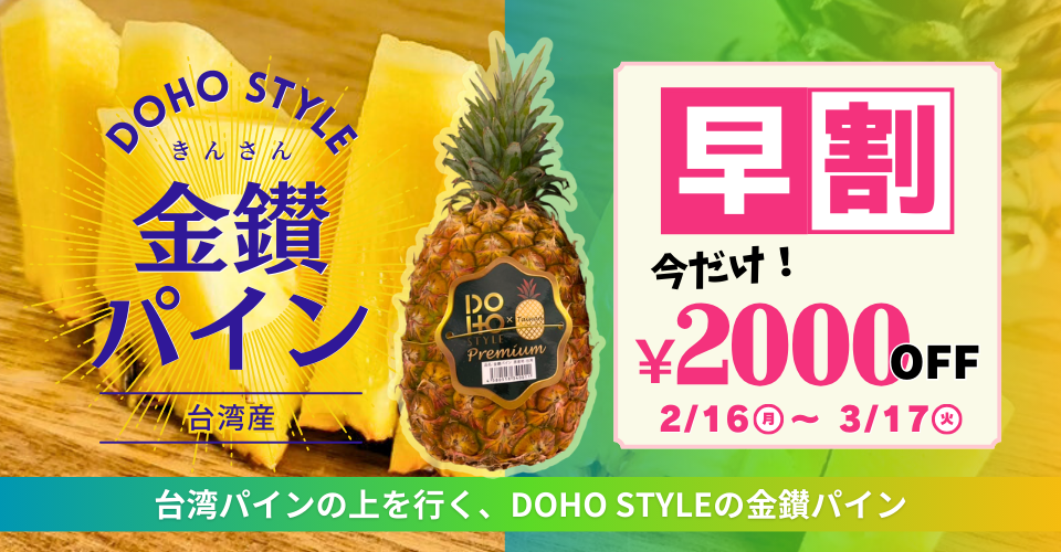 DOHO STYLE 金鑚パイン