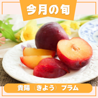 貴陽（きよう）プラム 6~10玉 | アグリセレクト 旬の果物・野菜ギフト