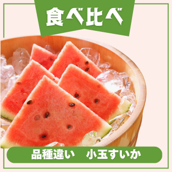 食べ比べ商品