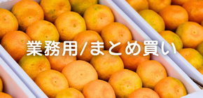 業務用/まとめ買い