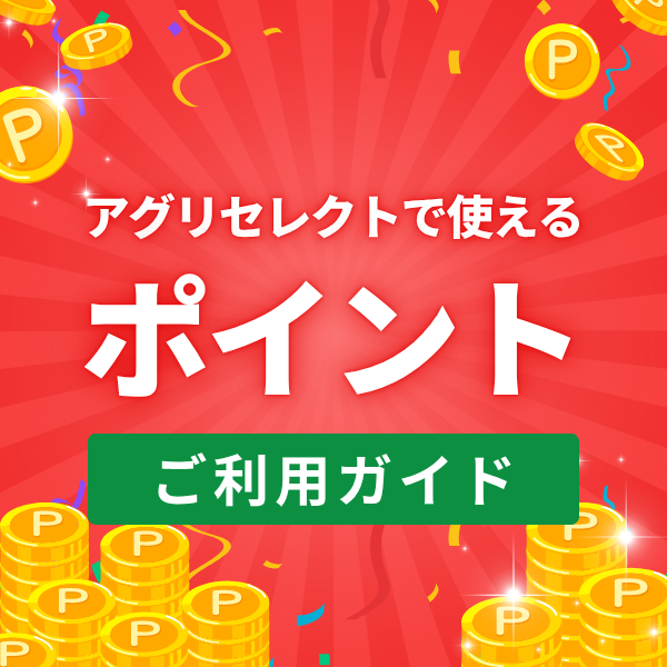 ポイントサービス開始
